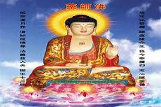 男主是佛修的言情文