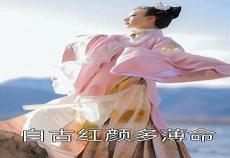 重生之贵妇百度网盘