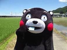 从乌龟开始吞噬进化
