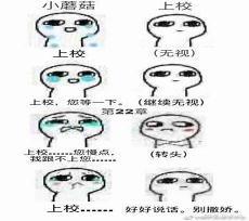 小蘑菇txt完整版免费下载