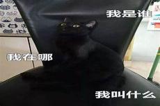 遮天老疯子还活着吗