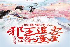 邪王追妻抄袭调色盘