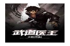 武道医王免费阅读 小说