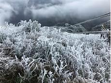 今年冬天下雪吗小说