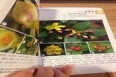 重生强强商业文