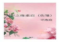 琼瑶小说