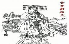 向师祖献上咸鱼txt下载