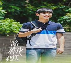 电视剧一路繁花相送好看吗