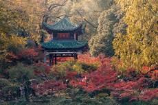 唐诗薄夜免费阅读全部