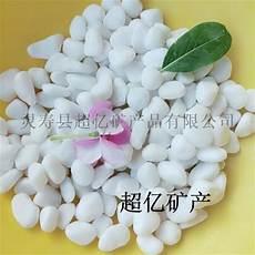 石子陵为什么被囚禁