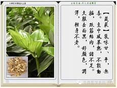 神农本草经蜂蜜原文