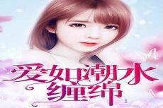 爱如潮水小说下载